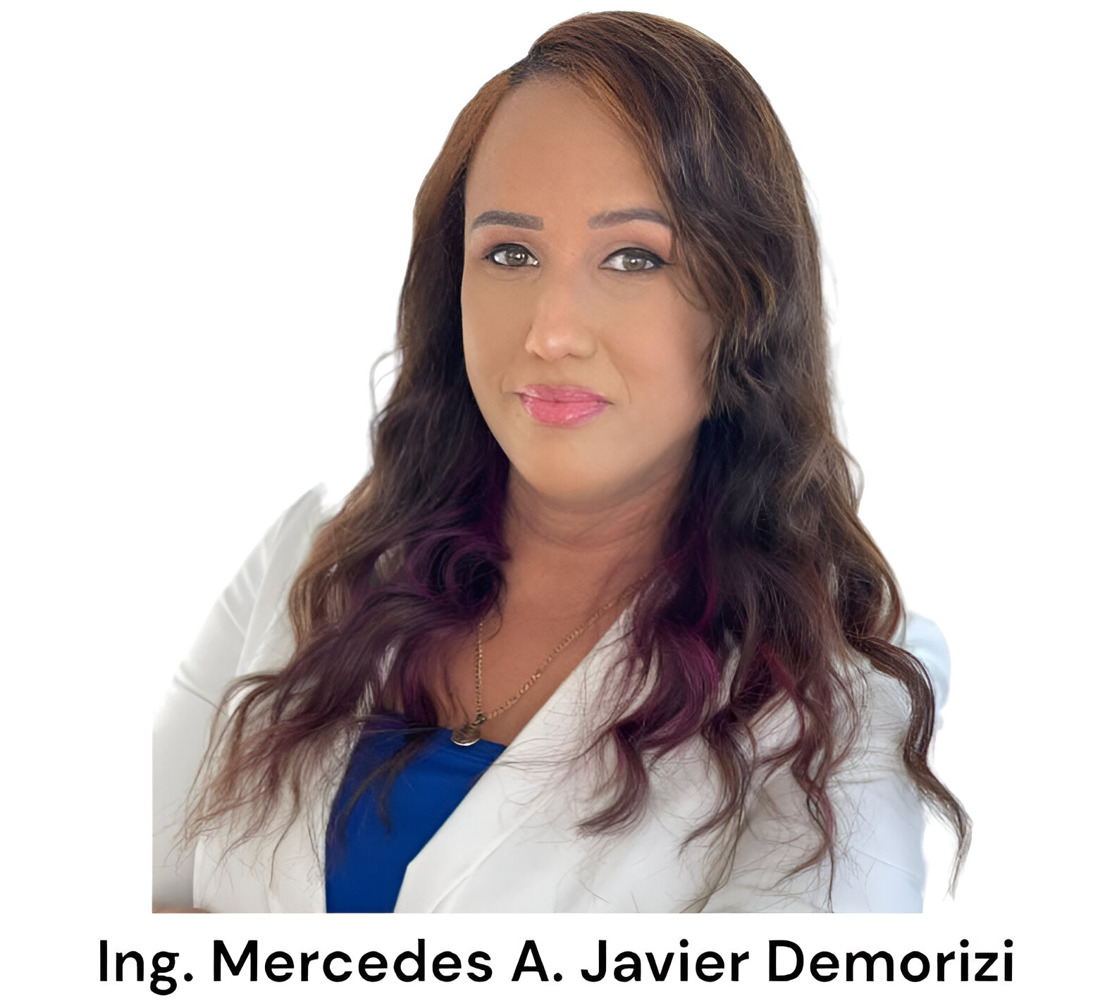 Ing. Mercedes A. Javier Demorizi. (Mechi)